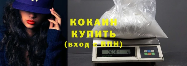 сатива Кулебаки