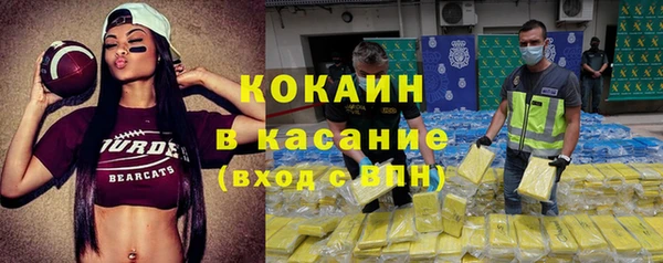 стаф Магас
