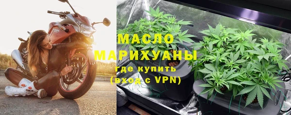 стаф Магас