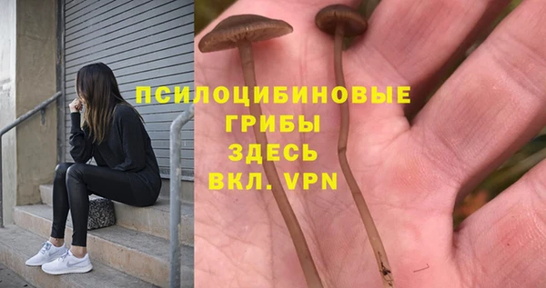 синтетический гашиш Медногорск