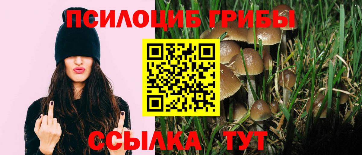 Псилоцибиновые грибы GOLDEN TEACHER  Михайловка  Галлюциногенные грибы мухоморы 