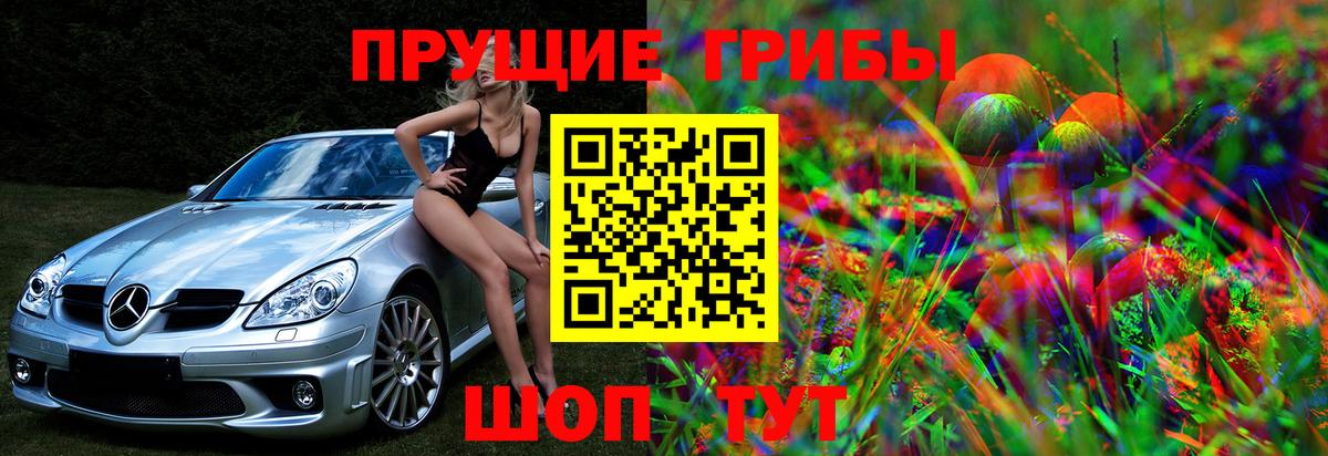 Псилоцибиновые грибы GOLDEN TEACHER  Вход с VPN  Псилоцибиновые грибы прущие грибы  Михайловка 