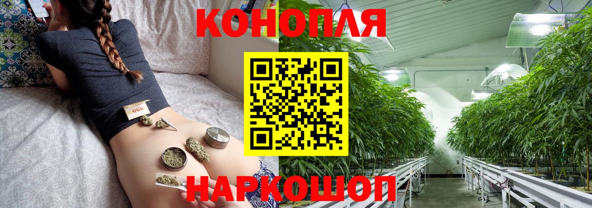 Каннабис конопля Михайловка